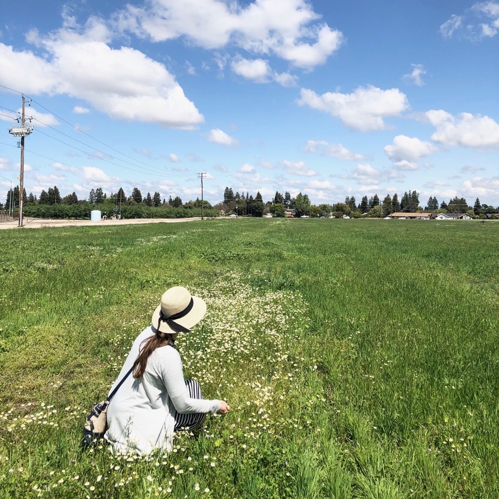 Meet your Posher, Svetlana